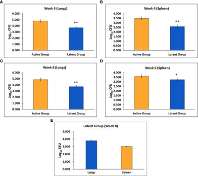 Immunological aspects of host–pathogen crosstalk in the co-pathogenesis of diabetes and latent tuberculosis